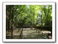 10 余談ですが、京都で休憩したので寄り道して新緑をエンジョイ。