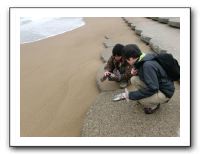 1 まずは海岸の地形調査。堆積物がどんなものか調べるための試料採集も