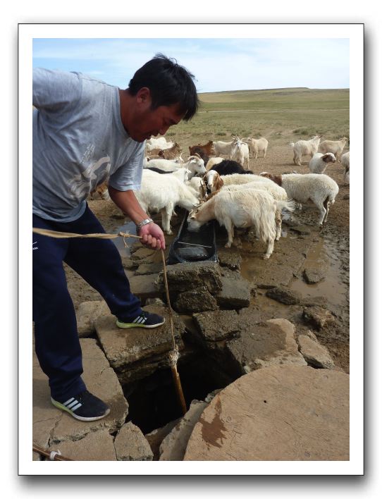 35 UBへの移動中，家畜用の水を井戸からくみ出すのを手伝うダバさん。