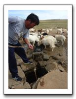 35 UBへの移動中，家畜用の水を井戸からくみ出すのを手伝うダバさん。