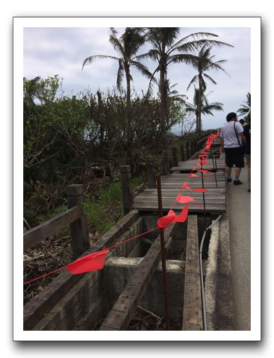 11 台湾を直撃した大きな台風の後だったので壊された遊歩道が。