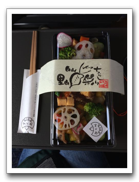 6 掘削サイトの暗室の視察にいくときに電車で食べたお弁当。金沢駅の「すずめ」製