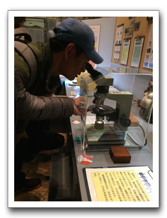 14 琵琶湖の微生物の観察