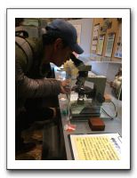 14 琵琶湖の微生物の観察