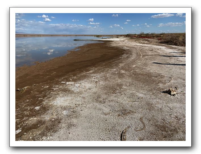 23 バヤントソム湖。雨が降ったばかりとかで思ったより大きかったが湖岸には塩の析出が。